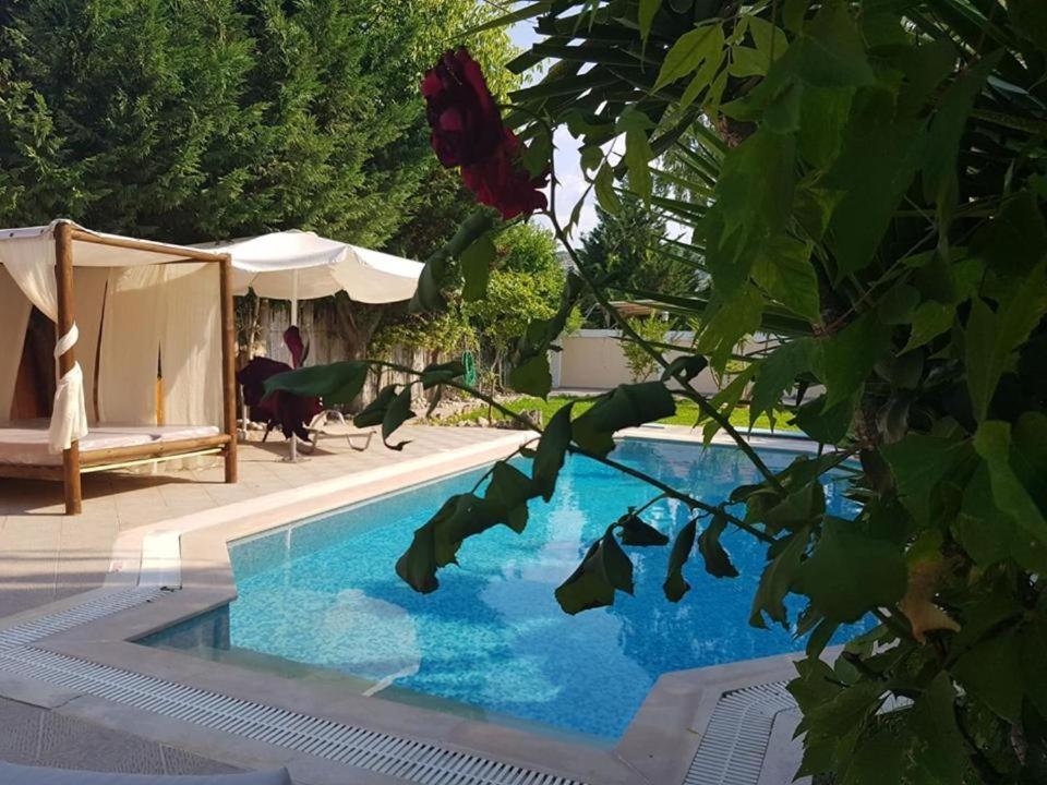 Villa Adonis With Private Pool By Lefkadastay Exterior foto